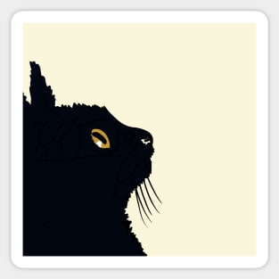 Little black cat looking up Sticker